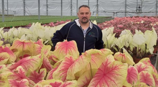 Smit Kwekerijen koos Huwa-San TR-50 als voorkeursproduct voor haar waterdesinfectie