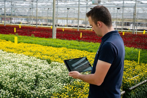 Technical sales support in greenhouse