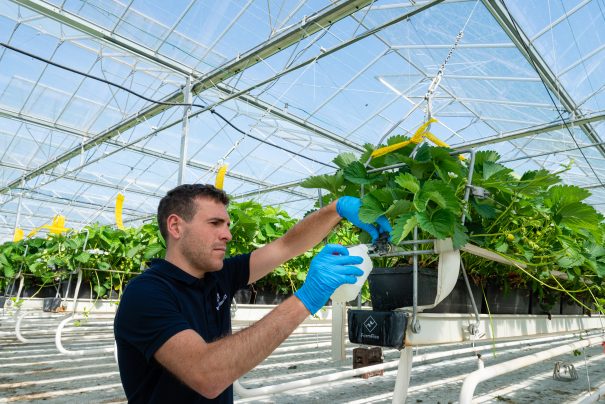 Technical Sales Taking Water Sample