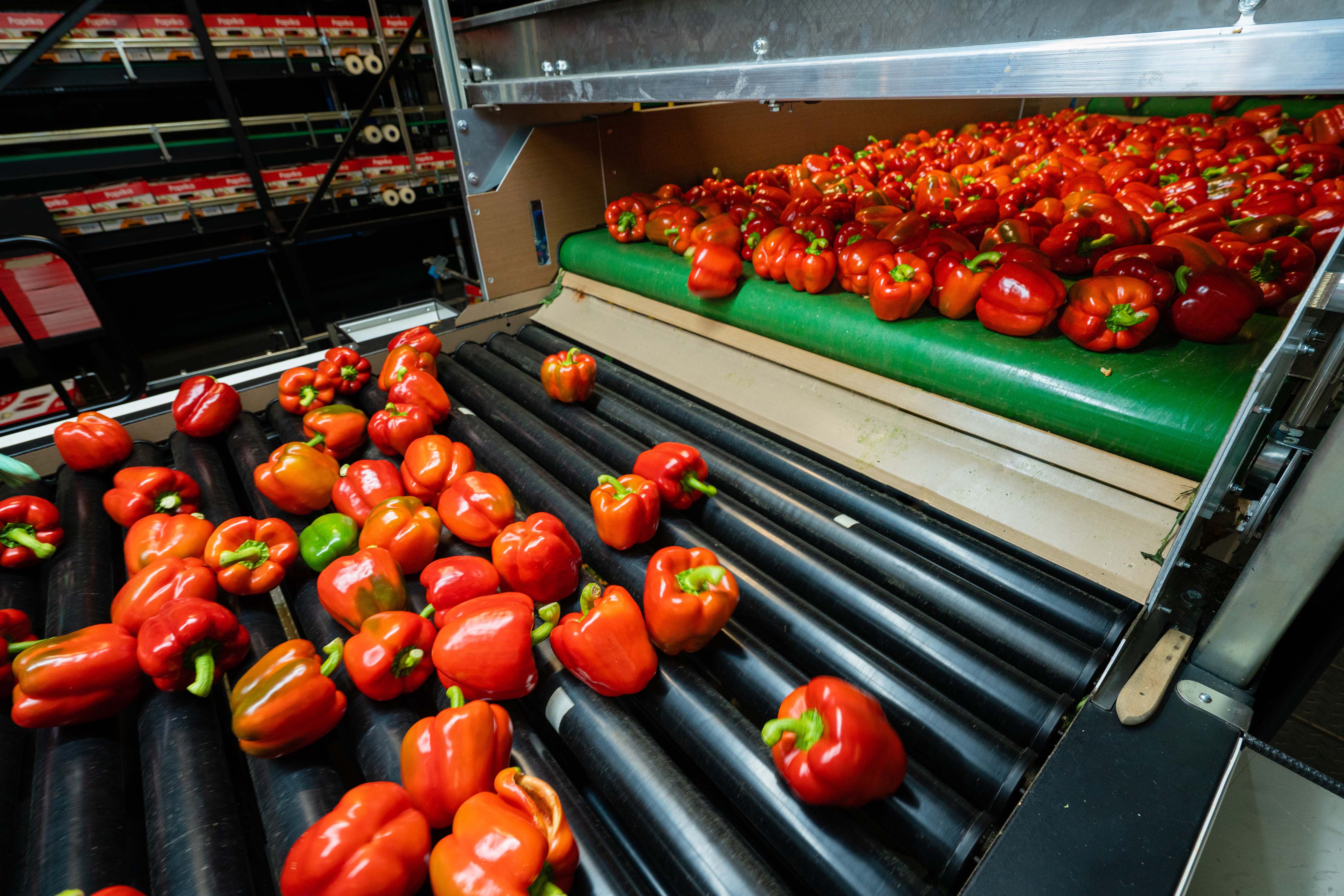 Post-harvest - Roam Technology