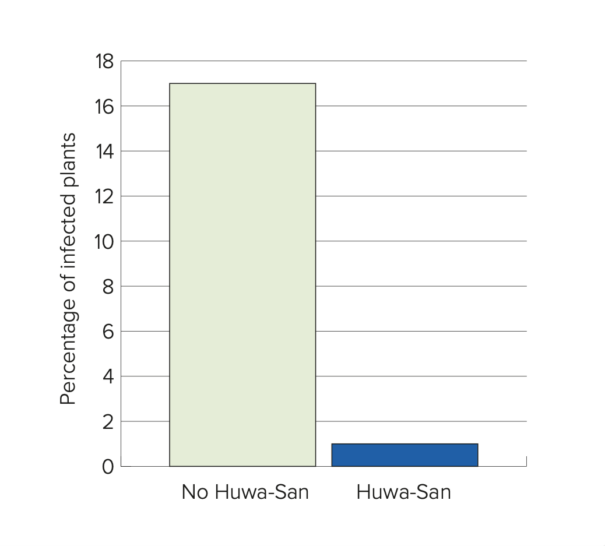 avocado graph 1