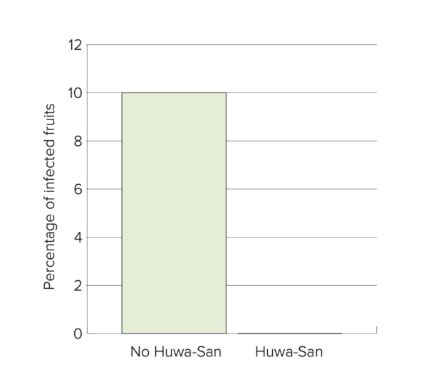 avocado graph 2