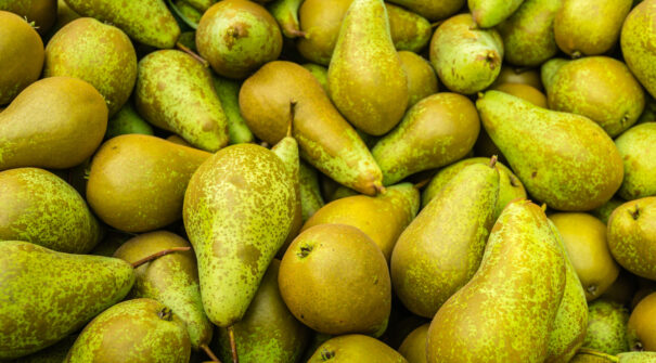 Pears