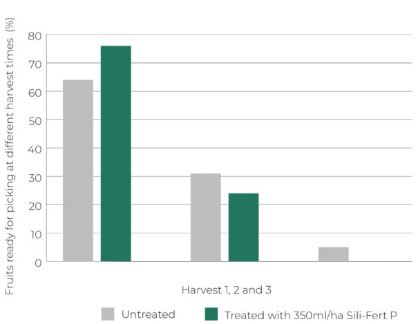 Apple orchard graph 2