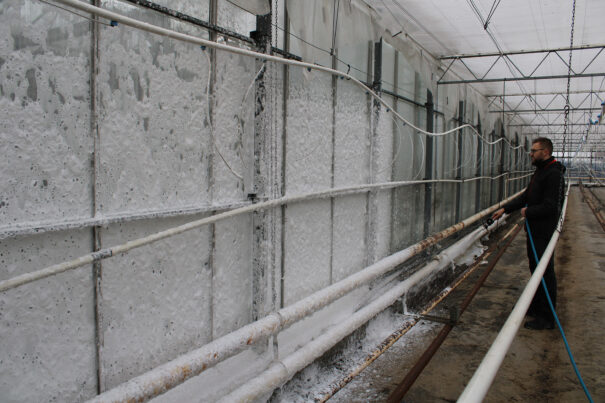 Wall application