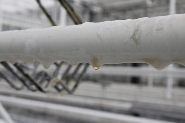 Roam Eco Clean foaming ability