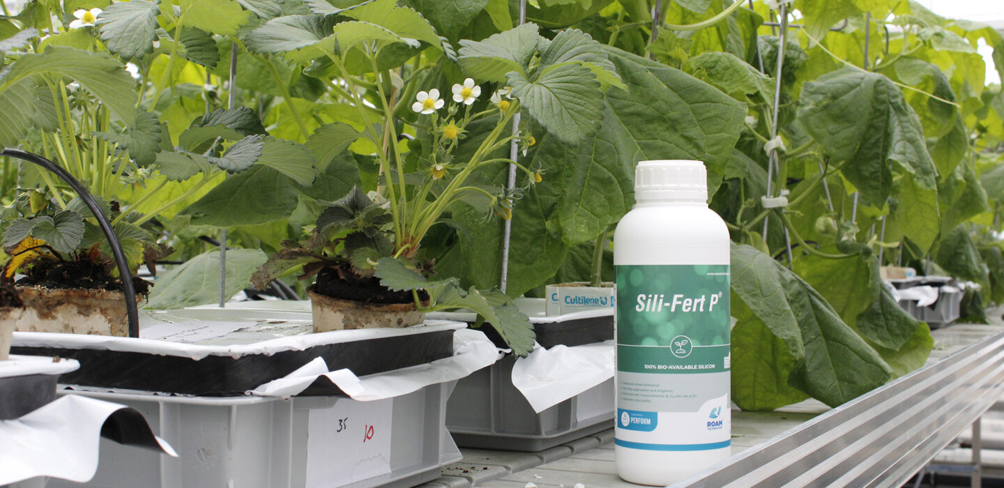 Sili-Fert P packshot 1 litre