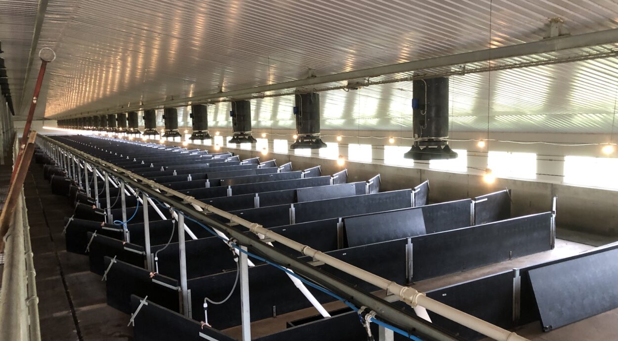 Clean stables