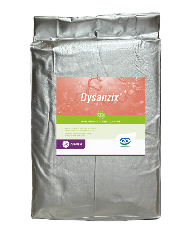 Dysanzix