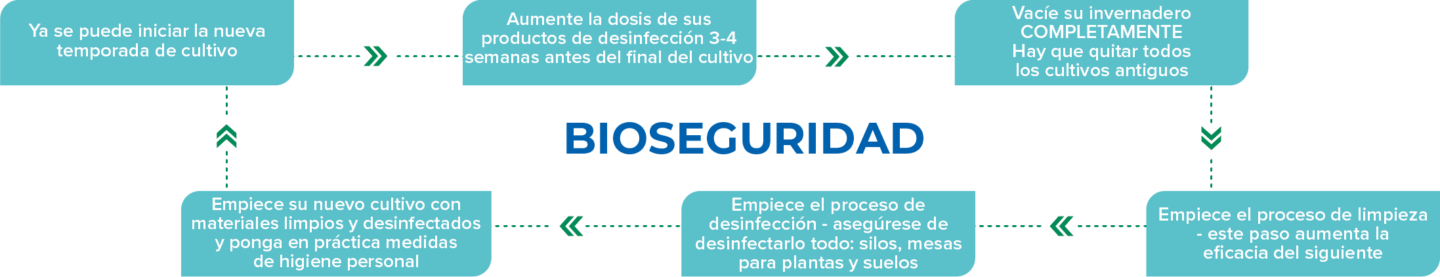 Crop rotation Cyclus