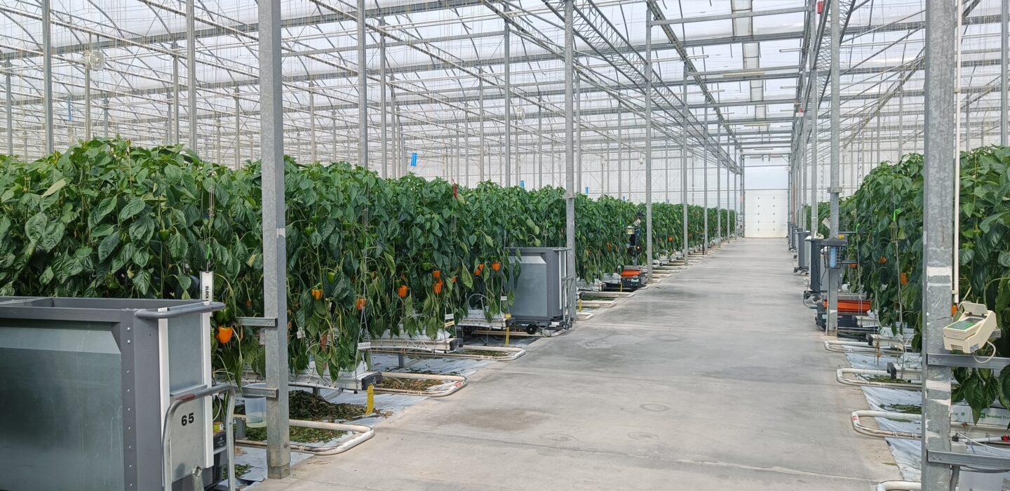 Denva Greenhouses