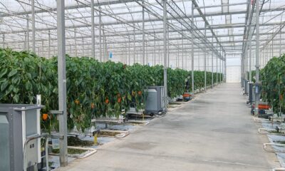 Denva Greenhouses