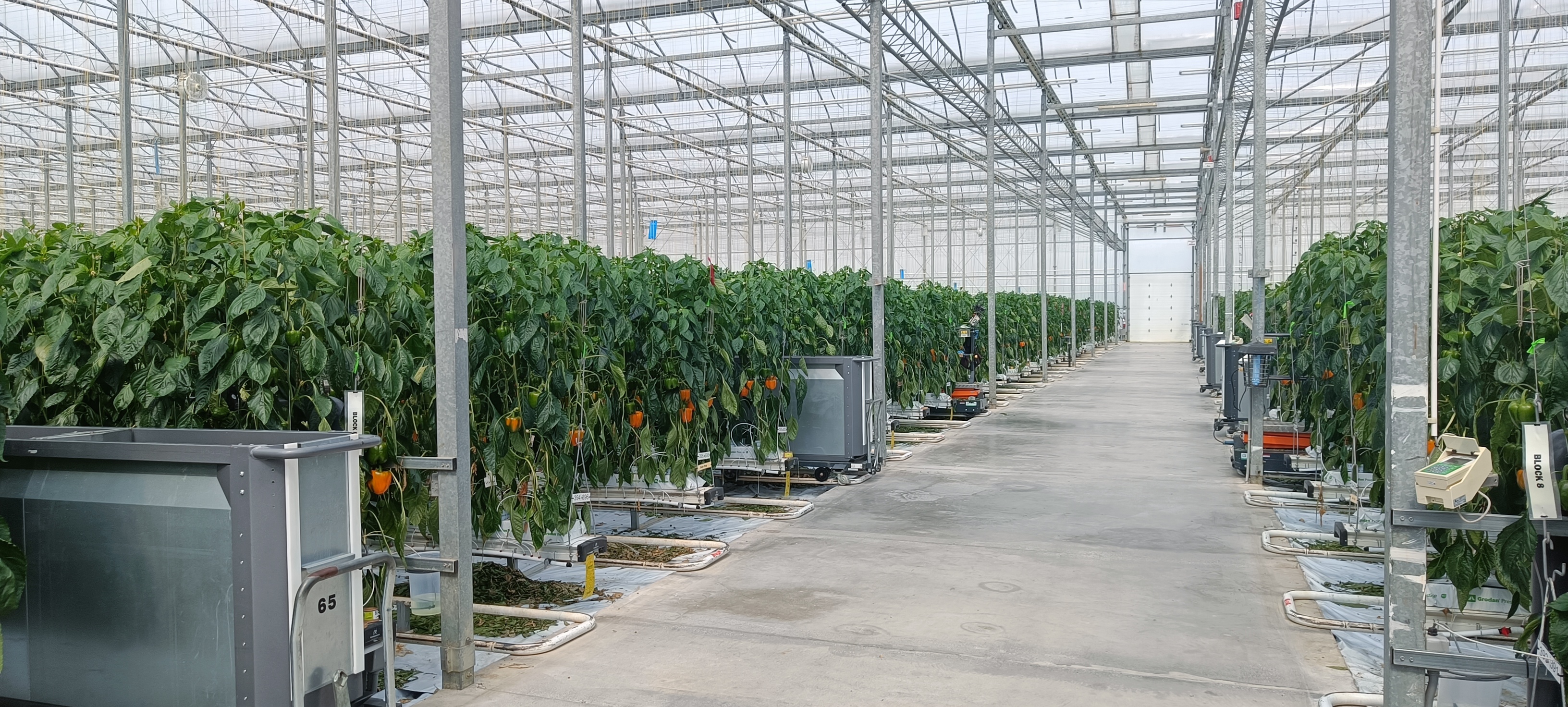 Denva Greenhouses
