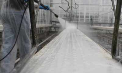 hygiene protocol cleaning