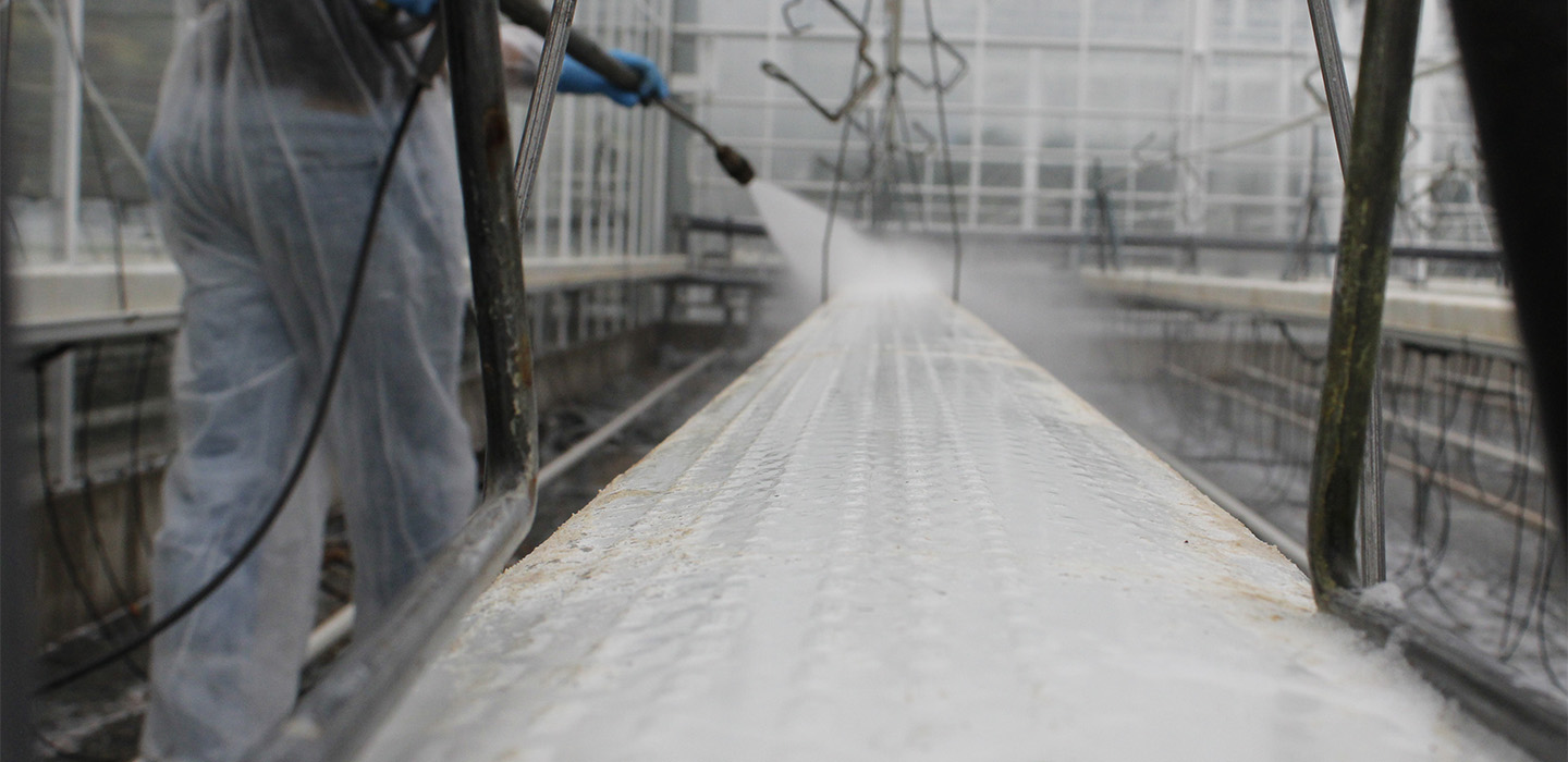 hygiene protocol cleaning