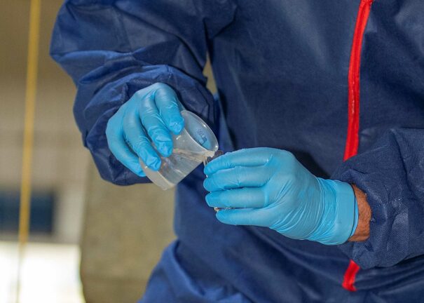 biosecurity measures on farm