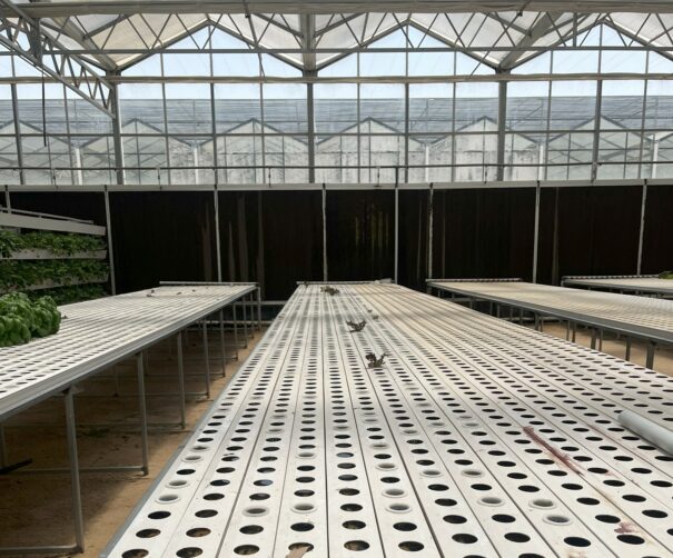 empty greenshouse