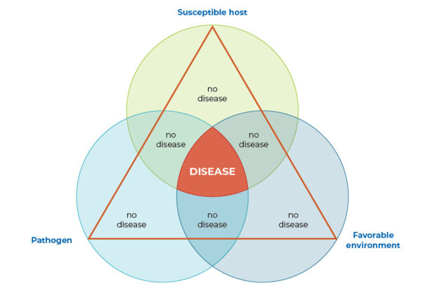 disease triangle
