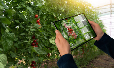 automation in horticulture