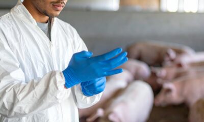 Biosécurité élévage