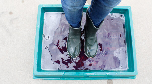 Disinfection_Immersion