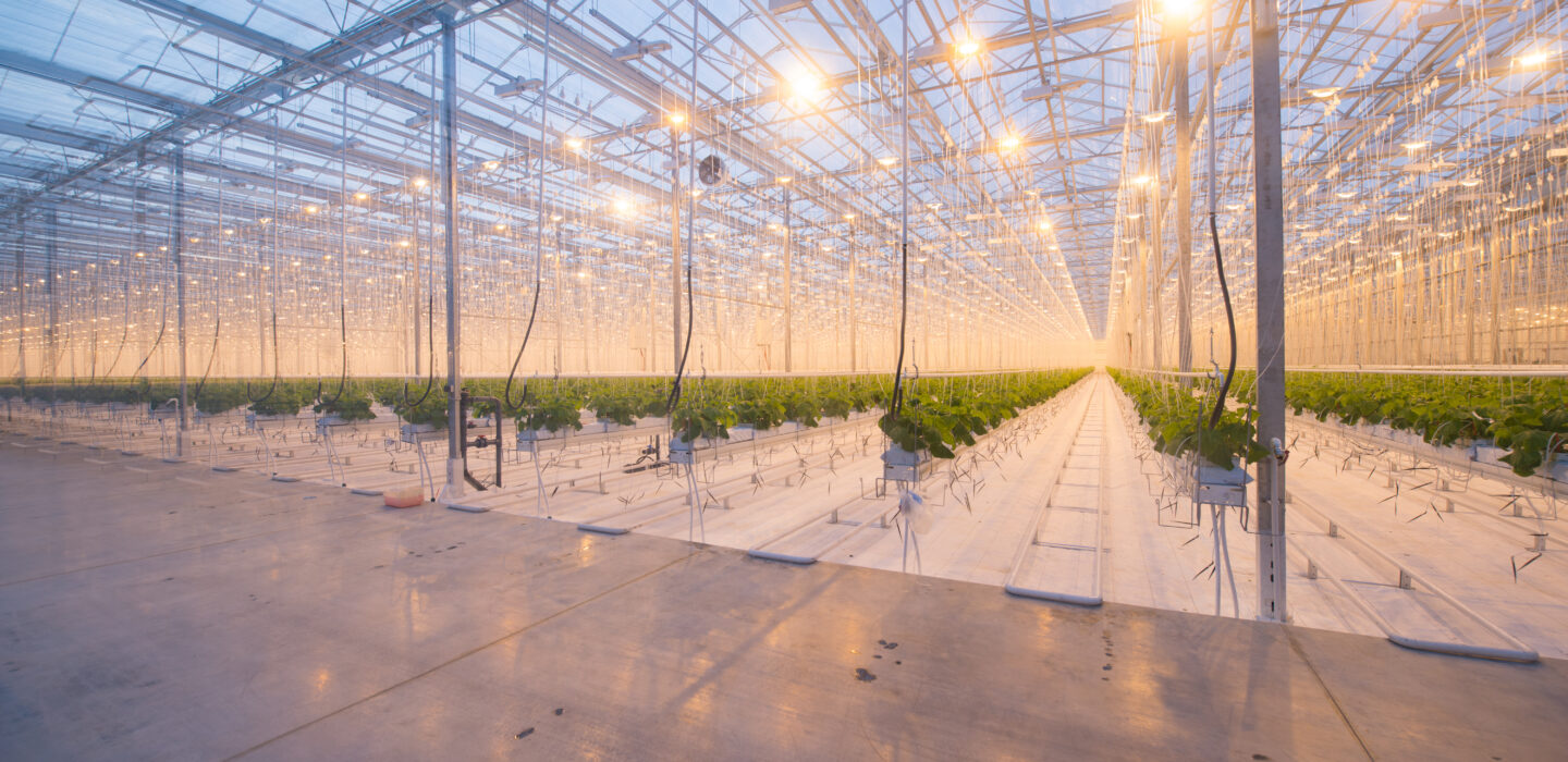 Horticulture greenhouse