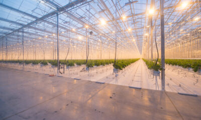 Horticulture greenhouse