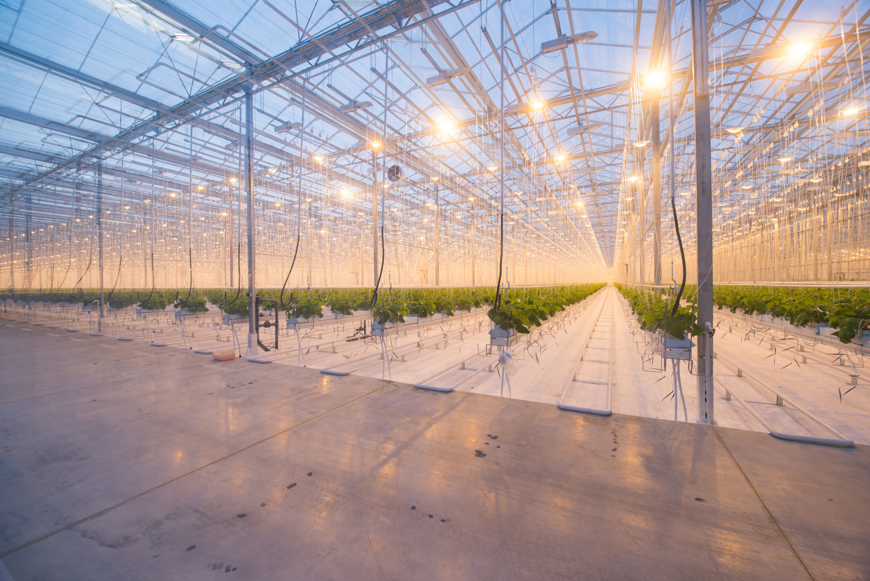 Horticulture greenhouse