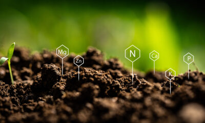Signs of chemical elements present in soil
