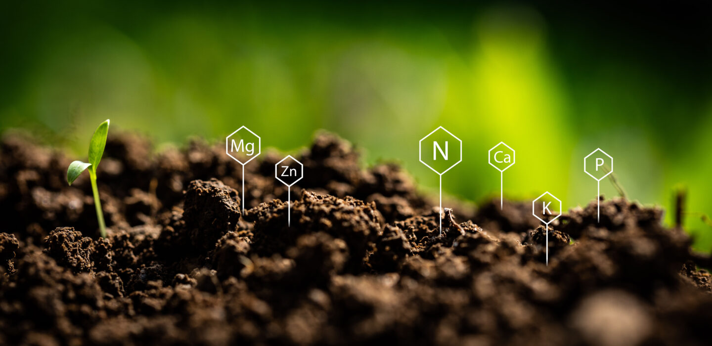 Signs of chemical elements present in soil