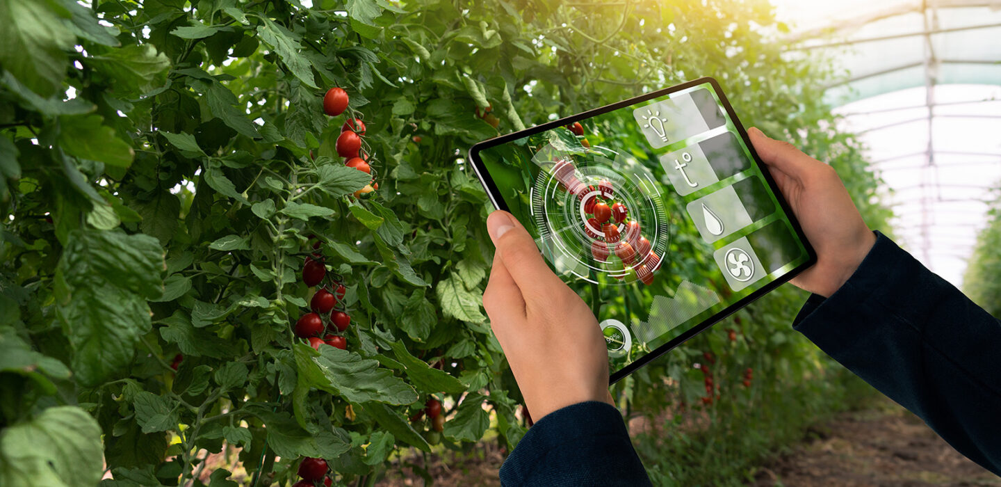 soluciones inteligentes para la horticultura