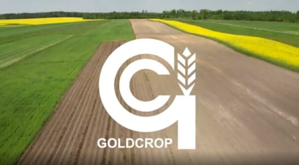 Goldcrop 2