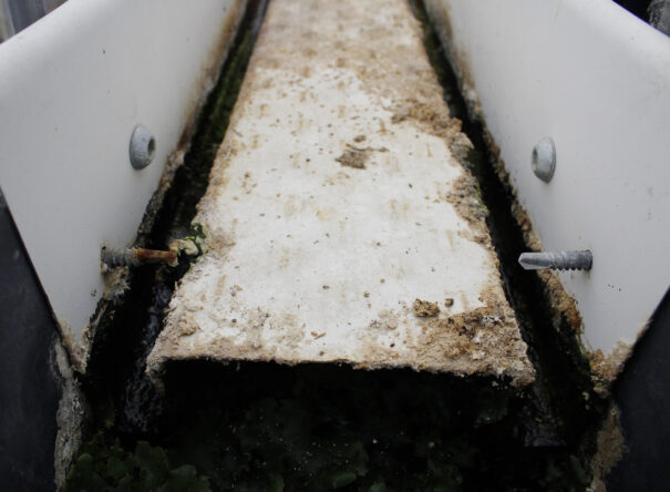 Gutter with mineral deposit